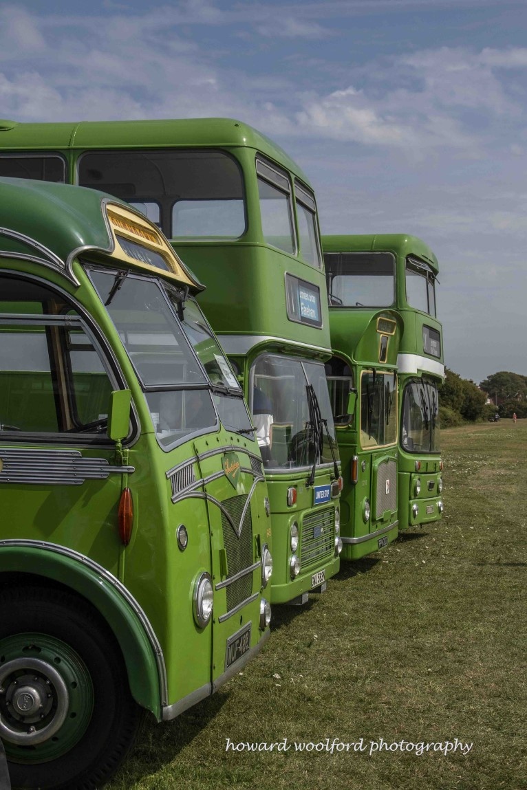 Lineup of vintage buses in field